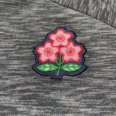 ラグビー日本代表 カンタベリー Tシャツ RUGBY+ 4L リポビタンD 東芝の画像