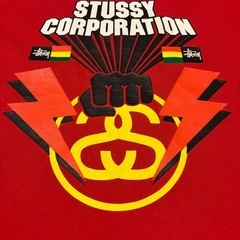 希少 90s OLD Stussy CORPORATION Tシャツ Mの画像