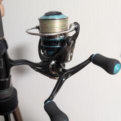 DAIWA エメラルダスセットの画像