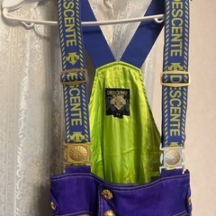 【8／10受け渡し決定‼️】DESCENTE   スキーウェア　メンズ　M 上下　今月中に処分しますの画像
