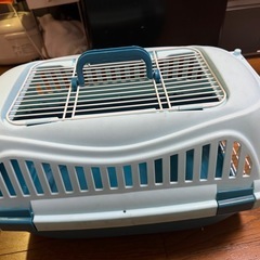 猫の箱の画像