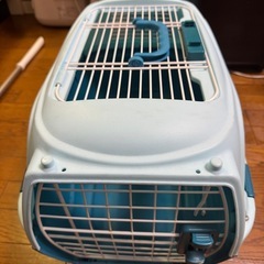 猫の箱の画像
