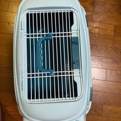 猫の箱の画像