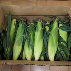 🌽北海道直送🌽 Sweets恵味  3Lサイズの画像