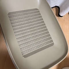 猫トイレの画像