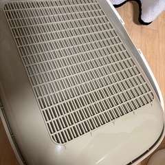 猫トイレの画像
