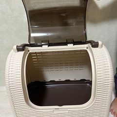 猫　　ケースの画像
