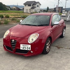 アルファロミオ　MTOの画像