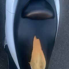 pcx125 jf28 リアボックス付きの画像