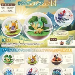 ポケモン　リーメント　テラリウムコレクション14 ポカブの画像