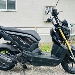北海道　ホンダ　ズーマーX  外装美品！ 走行少ない！タイヤ前後山あり！バッテリー新品無料！の画像