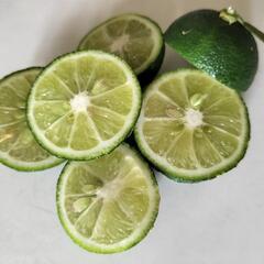 無農薬　露地栽培　すだち　約１キロの画像