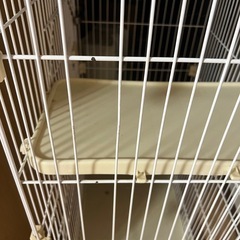 キャットケージの画像