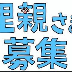 【里親様募集】Мシュナウザー