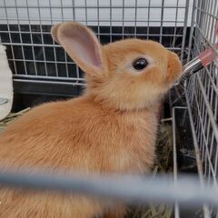 ☆彡8月4日更新☆彡　日常のお悩みで苦しんでいる方、精神疾…