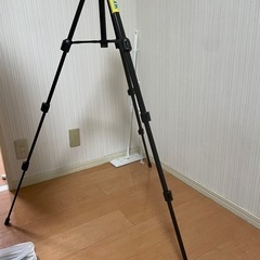 canonカメラEOS KISS Xの画像