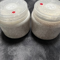 クワガタ用品の画像