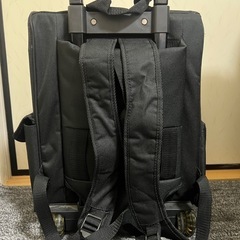 2WAYペットキャリーの画像