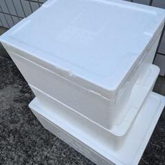 中古 プラタライ、クーラーボックス、コンテナ、発泡スチロール箱、プラカゴ、ｐｐボトルの画像