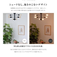 ほぼ未使用　15000円　6灯シーリングライトの画像