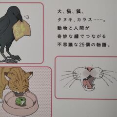 コミックエッセイ　本　いつもきみのそばで　動物たちが残した25個の不思議なメッセージの画像