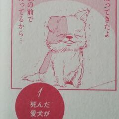 コミックエッセイ　本　いつもきみのそばで　動物たちが残した25個の不思議なメッセージの画像