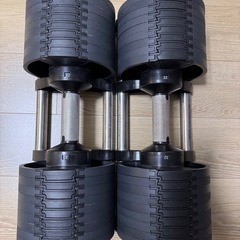 フレックスベル FLEXBELL 可変式ダンベル 32kg 4kg刻み アジャスタブルダンベル NUOBELL NUO-FLEX32 シルバーの画像
