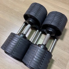 フレックスベル FLEXBELL 可変式ダンベル 32kg 4kg刻み アジャスタブルダンベル NUOBELL NUO-FLEX32 シルバーの画像