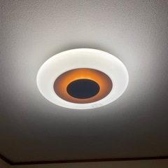 Luminous LED sunny D 間接照明付 LEDシー...