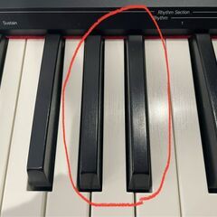 ◻Donner ドナー 電子ピアノ 88鍵盤　DEP-10の画像
