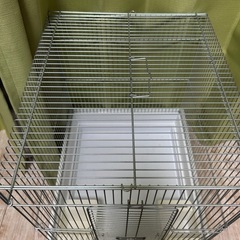 鳥ケージの画像