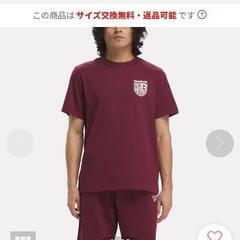 【新品未使用】Reebok　Tシャツ エンジの画像