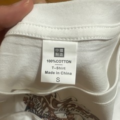 ビッグサンダー　Tシャツの画像