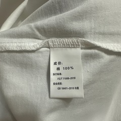 ビッグサンダー　Tシャツの画像