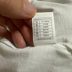 ビッグサンダー　Tシャツの画像