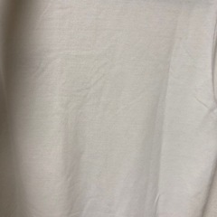 シャツの画像