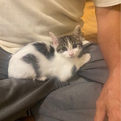 👣かわいいごまちゃん👣👀👀お話し中です