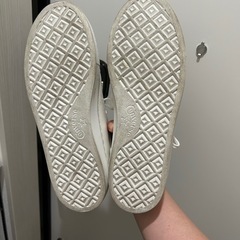 【コンバース】スニーカー　オールスター　クップの画像