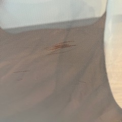 ボールプールの画像