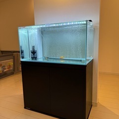 海水水槽メンテナンスお願いしたいです。費用打ち合わせお願い…