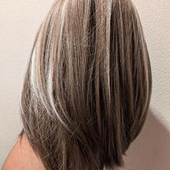 メッシュ　フルウィッグ

の画像