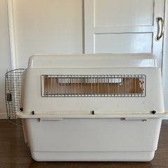 夏休み期間限定値下げ！ バリケンネル 中古の画像