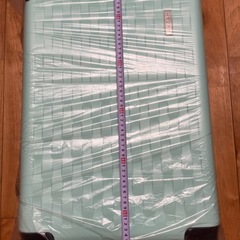 【一度、短時間使用】Sサイズ 人気のミントグリーン☆キャリーケースの画像