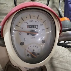ホンダ　クレアスクーピー　希少モデルの画像