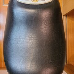 ジョーバ EU6310 の画像