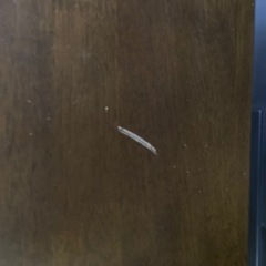 ダイニングテーブルの画像