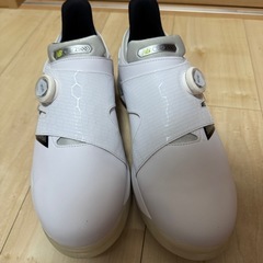【防水加工済】ニューバランス FRESH FOAM X2500 V4 BOAの画像