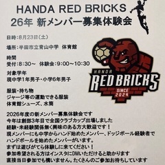 HANDA RED BRICKS ／ ハンドボールクラブ(中学生男子)の画像