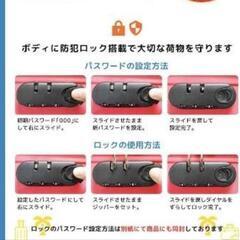 キッズキャリーケース ノリッコ 子どもが乗れるキャリー 動物柄 美品☆の画像