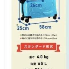 キッズキャリーケース ノリッコ 子どもが乗れるキャリー 動物柄 美品☆の画像